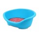 Topsy Plastic Pet Bed with Cushion Blue